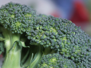 Vegetáriánus